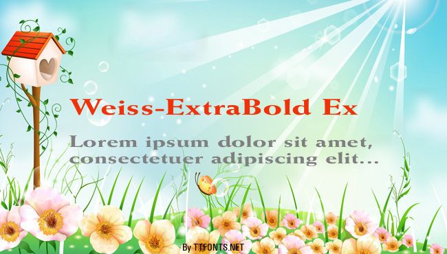 Weiss-ExtraBold Ex example